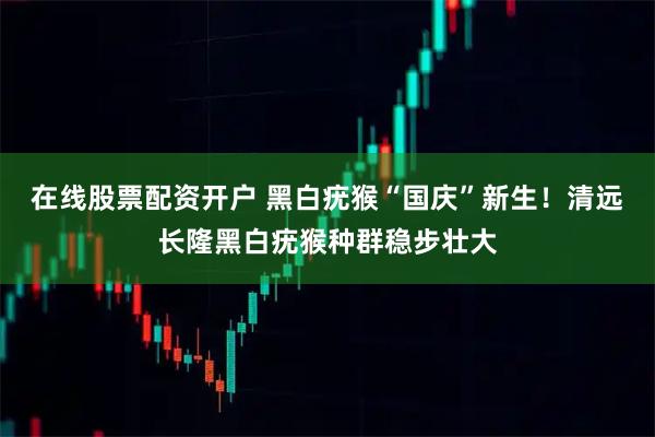 在线股票配资开户 黑白疣猴“国庆”新生！清远长隆黑白疣猴种群稳步壮大